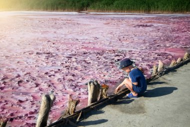 Ukrayna 'daki Arap tükürüğündeki pembe Lemur Gölü manzarası. Dunaliella Salina algleri, tuz kristalleri ve iyileştirici çamurla eşsiz bir gölet. Ölü Deniz analogu