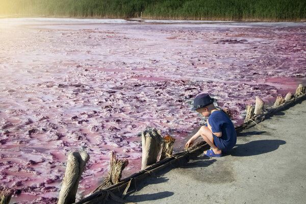 View of the pink Lemur Lake on the Arabat Spit in Ukraine. Unique pond with Dunaliella Salina algae, salt crystals and healing mud. Dead Sea analogue