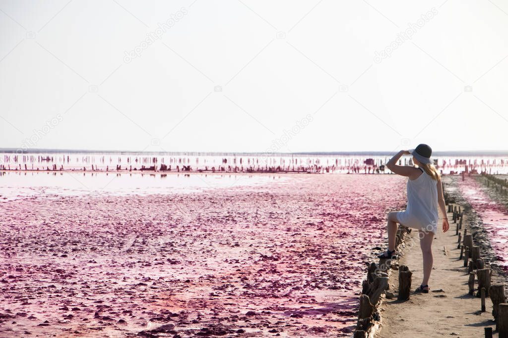View of the pink Lemur Lake on the Arabat Spit in Ukraine. Unique pond with Dunaliella Salina algae, salt crystals and healing mud. Dead Sea analogue