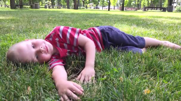 幸せな少年が草の中に横たわって 彼女を撫でて空を見ています 時々何かが言うか または上に指を指す 公園での家族の休日と幸せな子供時代の概念 — ストック動画