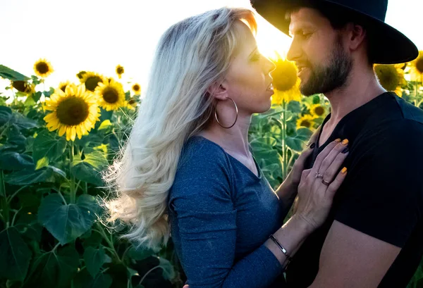 Bela Jovem Casal Beijando Campo Girassóis Pôr Sol Uma Loira — Fotografia de Stock