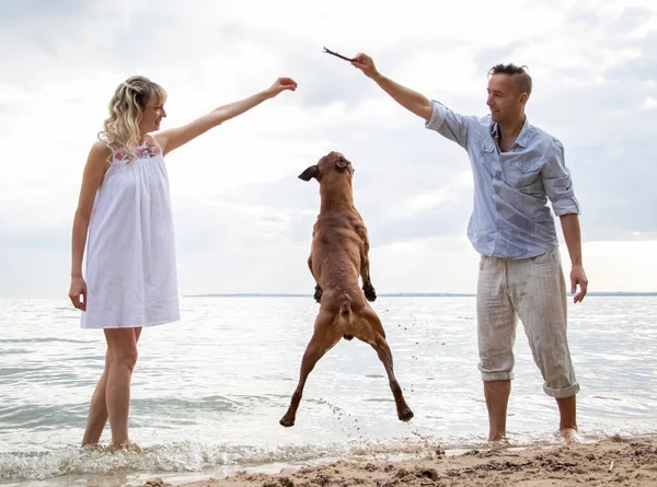 A married couple walks with their dog on the ocean. The dog froze in the air, jumping merrily for the stick. Funny dog pose and funny faces of a man. The concept of happiness and caring for animals