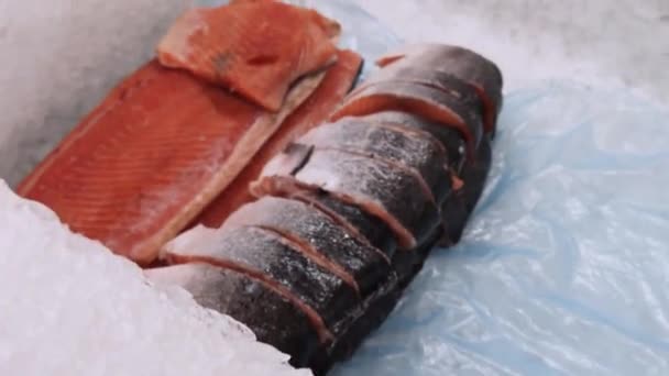 Mağaza Vitrininde Bir Somon Balığı Var Kamera Kırmızı Balığın Yattığı — Stok video