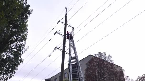 電気技師は高圧線を修理する 格納式のはしごと労働者が立つクレードルの下のビュー 背景には木々や空 建物が見える — ストック動画