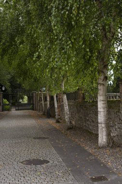 Manastırın yanındaki patika