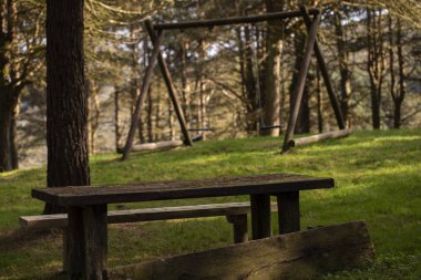 Ahşap Bank ve genel bir parkta salıncak