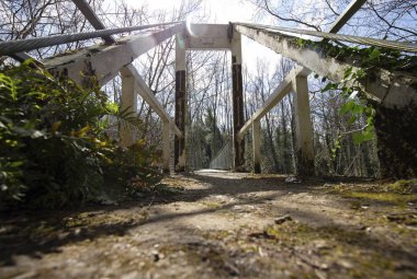 Parlak ormandaki köprü. Doğal bileşim 