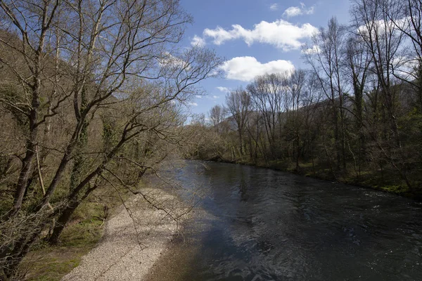 güzel orman ve nehir. Doğal kompozisyon