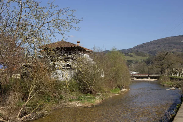 Parlak Ormandaki Köprü Doğal Bileşim — Stok fotoğraf