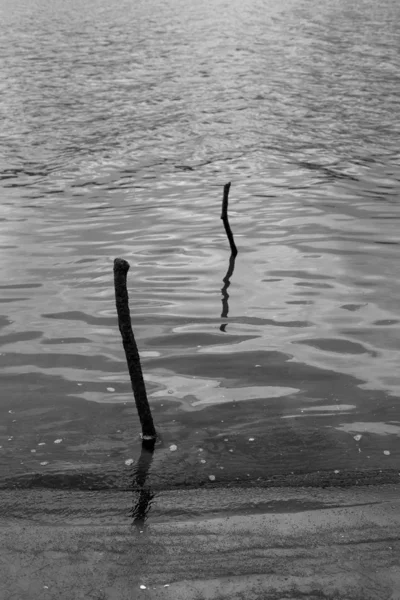 Holzstäbchen Auf Dem Fluss — Stockfoto