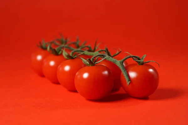 Retrato de tomate cereja — Fotografia de Stock