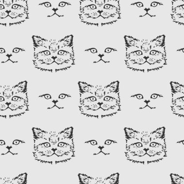 Kedilerde kusursuz desen