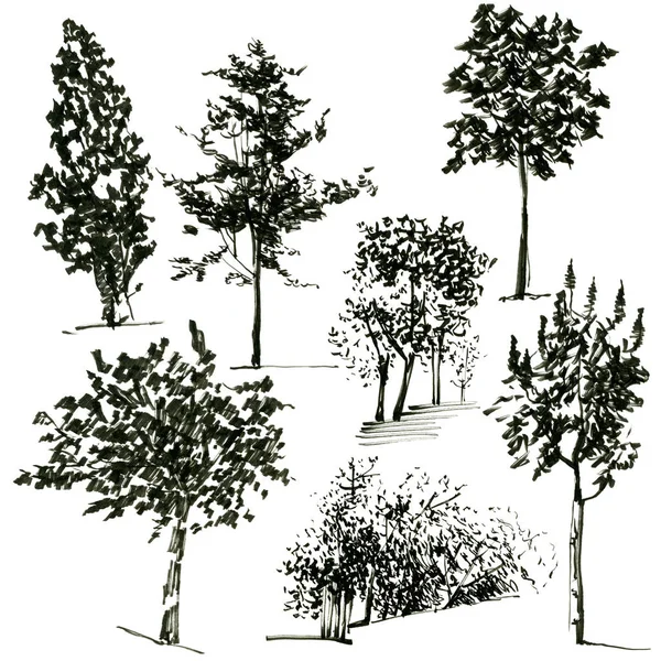 Hitam Grafis Siluet Abstrak Pohon Vegetasi Artistik Warna Air Ilustrasi Stok Gambar Bebas Royalti