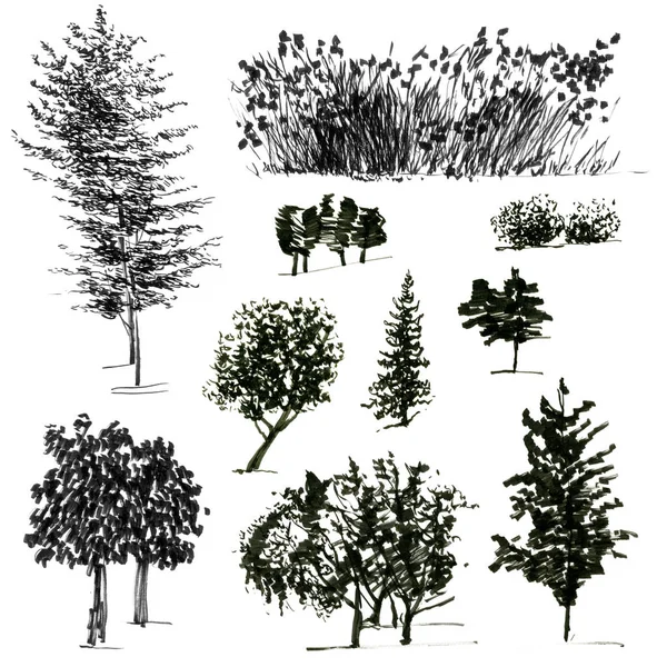 Hitam, grafis, siluet abstrak pohon. Vegetasi artistik. Warna air. Ilustrasi Stok Lukisan  