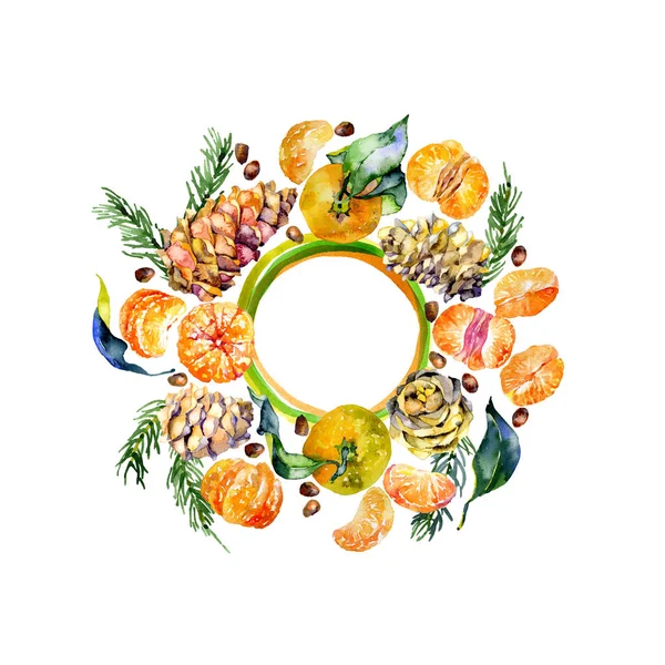 Gemüseschmuck Für Das Verpackungsdesign Saftig Tropisch Schmackhaft Orange Mandarinen Und — Stockfoto