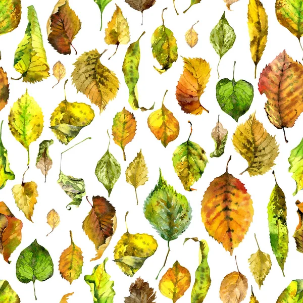 腐った 暖かく 腐った 落ちた葉 秋のインディアンサマー 水彩画 — ストック写真