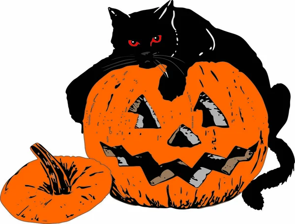 Schwarze Katze Auf Orangefarbenem Halloween Kürbis — Stockvektor