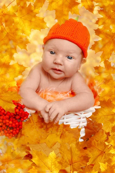 Recém Nascido Outono Cena Outono Bebezinho Com Folhas Bordo Amarelas — Fotografia de Stock