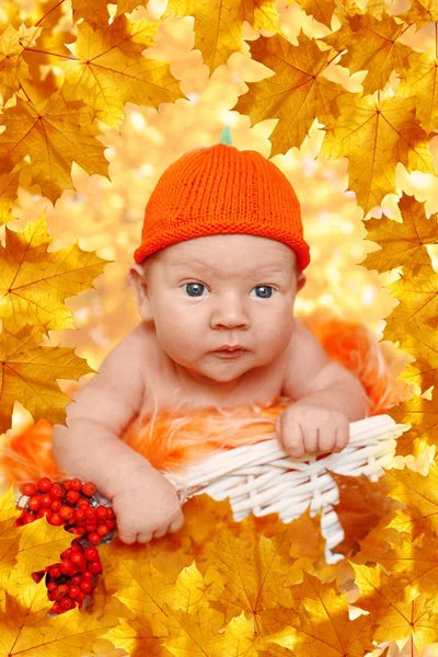 Herbstneugeboren Herbstzeit Kleines Baby Mit Rotgelben Ahornblättern Beeren Kürbis Äpfeln — Stockfoto