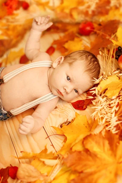 Осенний Младенец Осенняя Сцена Времени Малыш Красно Желтыми Кленовыми Листьями — стоковое фото