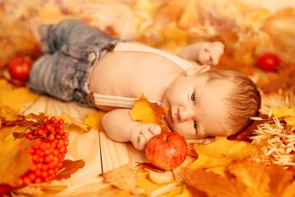 Herfst Pasgeboren Herfst Tijd Scène Kleine Baby Met Rode Gele — Stockfoto