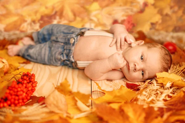 Herbstneugeboren Herbstzeit Kleines Baby Mit Rotgelben Ahornblättern Beeren Kürbis Äpfeln — Stockfoto