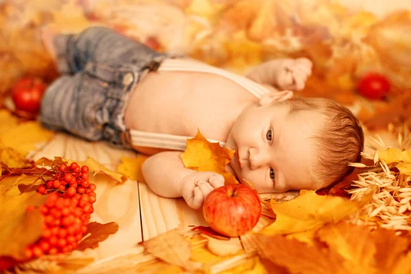 Φθινόπωρο Του Νεογέννητου Φθινόπωρο Σκηνή Μωράκι Κόκκινο Κίτρινο Maple Φύλλα Εικόνα Αρχείου
