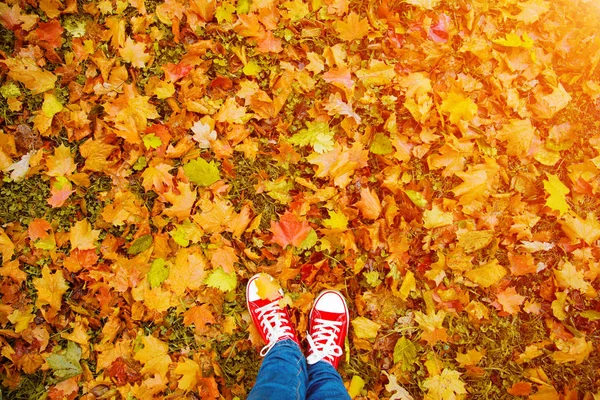 概念嬉皮士风格的形象腿在靴子 时髦的胶鞋在秋叶的背景 在秋天季节自然的脚鞋子步行 — 图库照片