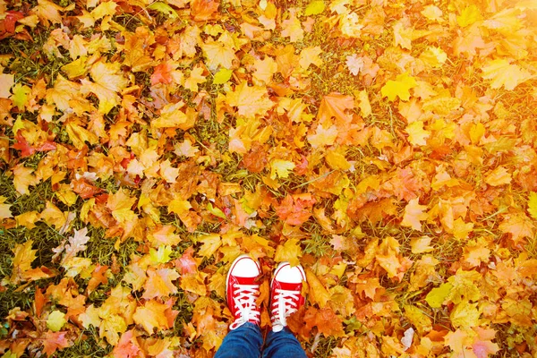 Konzeptionelles Hipster Image Von Beinen Stiefeln Trendigen Gummischuhen Vor Herbstblättern — Stockfoto
