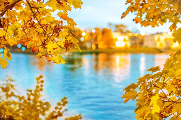 Herfst Landschap Herfst Stadsgezicht Uitzicht Vanaf Het Park Het Meer — Stockfoto