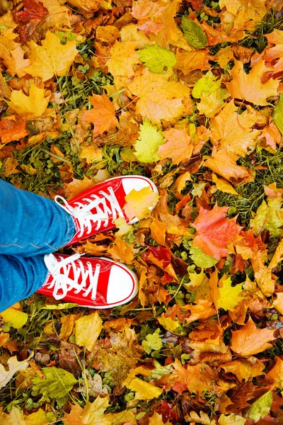 Konceptuella Hipster Stil Bild Ben Stövlar Trendiga Joggingskor Bakgrund Höstlöv — Stockfoto