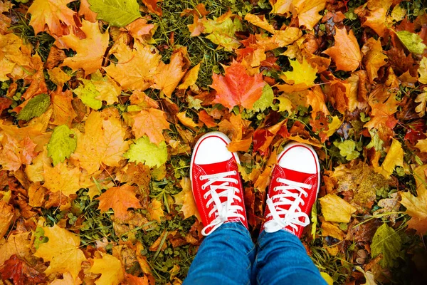 概念嬉皮士风格的形象腿在靴子 时髦的胶鞋在秋叶的背景 在秋天季节自然的脚鞋子步行 — 图库照片