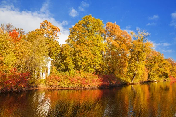 Fall Landscape Autumn Park Lake Leaves Sun — Stock Photo, Image