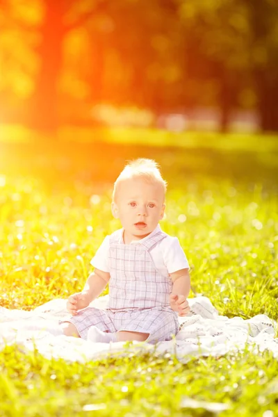 Schattige Kleine Baby Het Park Het Gras Lieve Baby Buitenshuis — Stockfoto