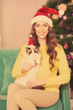 Christmans parti, kış tatil kedi kadınla. Yeni yıl kız. Noel ağacı iç arka planda. 