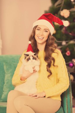 Christmans parti, kış tatil kedi kadınla. Yeni yıl kız. Noel ağacı iç arka planda. 