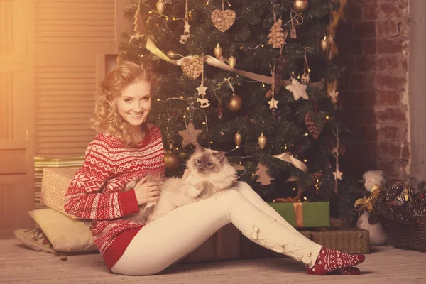 Karácsonyi Party Téli Ünnepek Macskával Lány Karácsonyfa Belső Háttérben — Stock Fotó