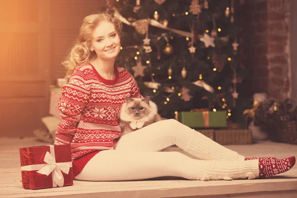 圣诞晚会 冬季假期女人与猫 新的一年的女孩 室内背景圣诞树 — 图库照片