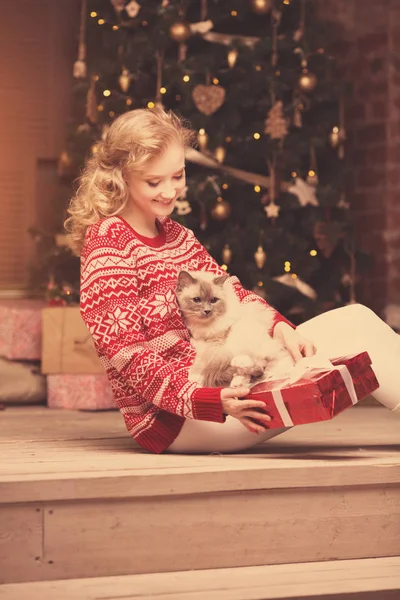 圣诞晚会 冬季假期女人与猫 新的一年的女孩 室内背景圣诞树 — 图库照片