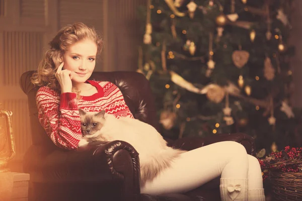 Karácsonyi Party Téli Ünnepek Macskával Lány Karácsonyfa Belső Háttérben Jogdíjmentes Stock Képek