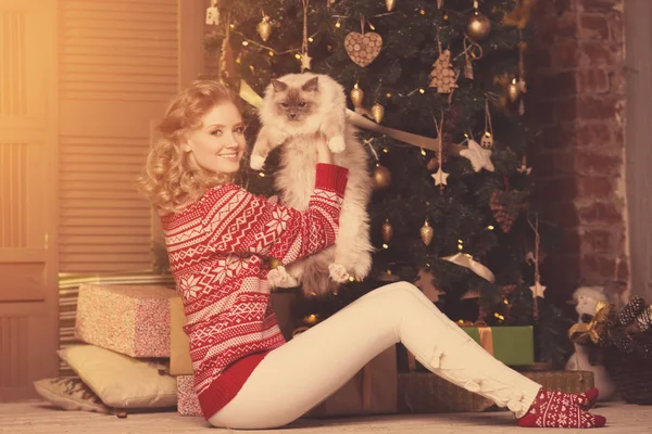 Julefest Juleferie Kvinne Med Katt Nyttårsjente Juletre Innvendig Bakgrunn stockbilde