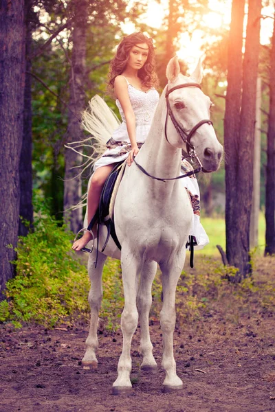 Piękna Kobieta Koniu Jeździec Konno Kobieta Koniu — Zdjęcie stockowe
