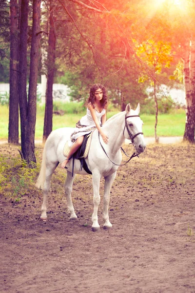 Üstünde Güzel Bir Kadın Horseback Binici Kadın Binme — Stok fotoğraf