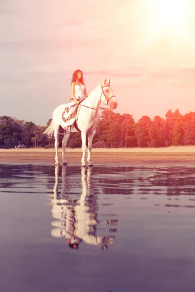 Üstünde Güzel Bir Kadın Horseback Binici Kadını Kumsalda Ata Binme — 스톡 사진