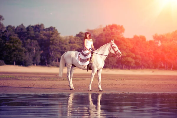 Beautiful Woman Horse Horseback Rider Woman Riding Horse Beach Royalty Free Stock Images