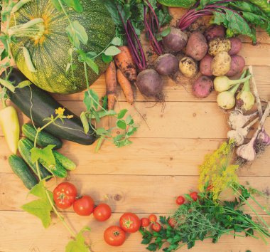 Ahşap arka plan üzerinde taze sebzelerin hasat. Üstten görünüm. Patates, havuç, kabak, bezelye, domates, yeşillik, pancar, kabak, domates, biber, soğan, sarımsak, salatalık, dereotu.