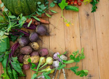 Ahşap arka plan üzerinde taze sebzelerin hasat. Üstten görünüm. Patates, havuç, kabak, bezelye, domates, yeşillik, pancar, kabak, domates, biber, soğan, sarımsak, salatalık, dereotu.