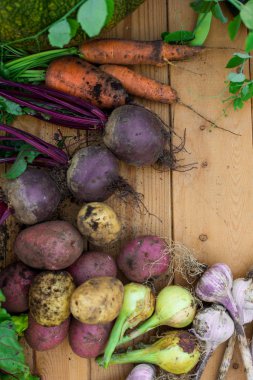 Ahşap arka plan üzerinde taze sebzelerin hasat. Üstten görünüm. Patates, havuç, kabak, bezelye, domates, yeşillik, pancar, kabak, domates, biber, soğan, sarımsak, salatalık, dereotu.