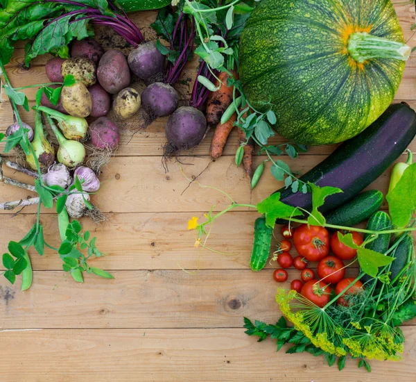 木製の背景での新鮮野菜の収穫 平面図です ジャガイモ ニンジン カボチャ エンドウ豆 トマト ビート ズッキーニ トマト — ストック写真