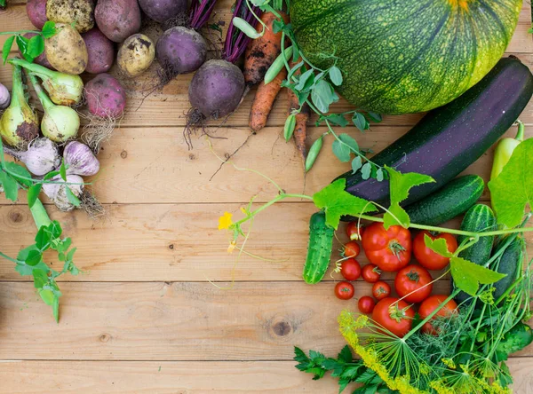 木製の背景での新鮮野菜の収穫 平面図です ジャガイモ ニンジン カボチャ エンドウ豆 トマト ビート ズッキーニ トマト — ストック写真
